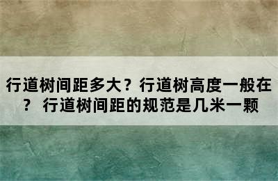 行道树间距多大？行道树高度一般在？ 行道树间距的规范是几米一颗